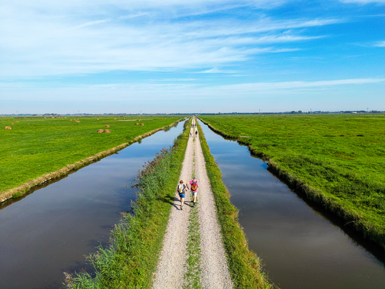 De Hoeksche Waard: Een verborgen paradijs, het mooist ontdekt te voet