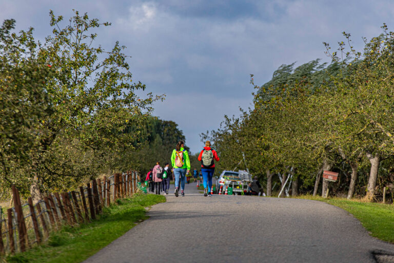 Wandel Feest Hoeksche Waard 2025, foto 32