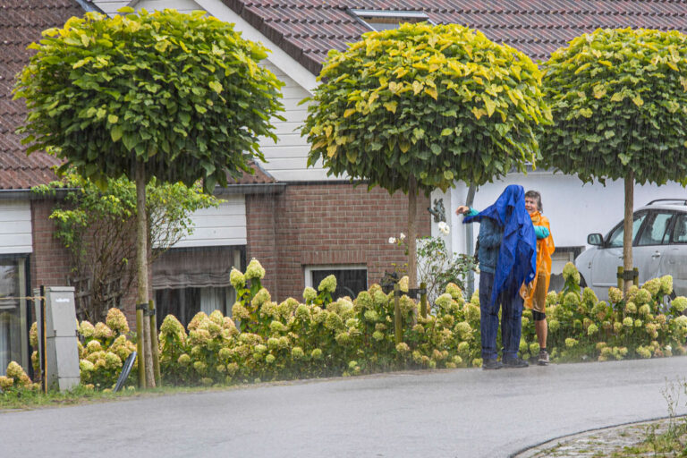 Wandel Feest Hoeksche Waard 2025, foto 66