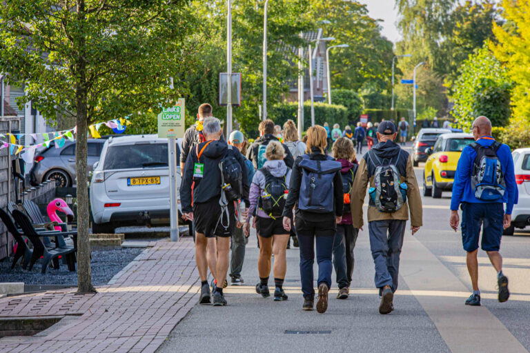 Wandel Feest Hoeksche Waard 2025, foto 6