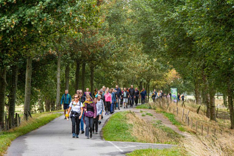 Wandel Feest Hoeksche Waard 2025, foto 11