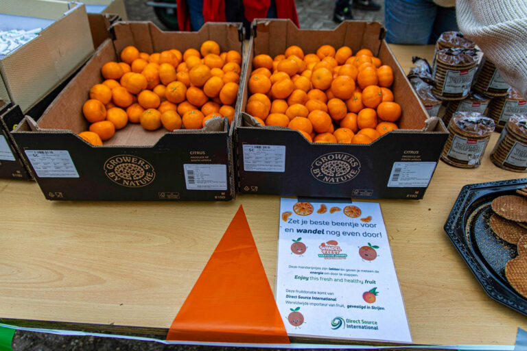 Wandel Feest Hoeksche Waard 2025, foto 134