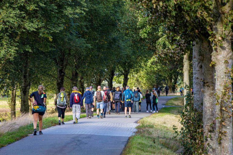 Wandel Feest Hoeksche Waard 2025, foto 13