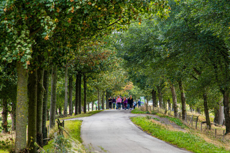 Wandel Feest Hoeksche Waard 2025, foto 152