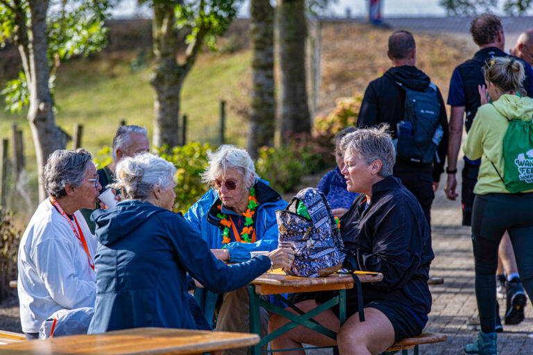 Wandel Feest Hoeksche Waard 2025, foto 19