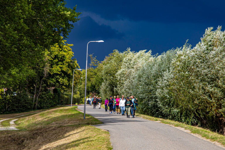 Wandel Feest Hoeksche Waard 2025, foto 260