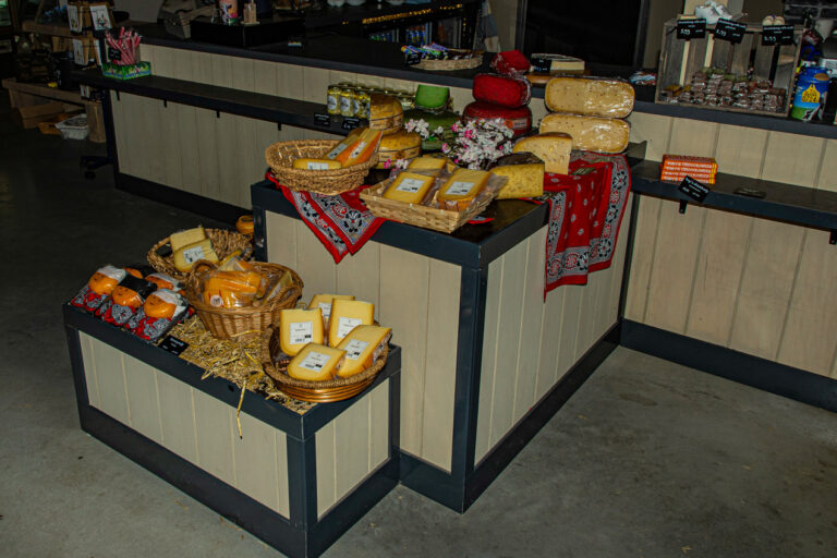 Wandel Feest Hoeksche Waard 2025, foto 266