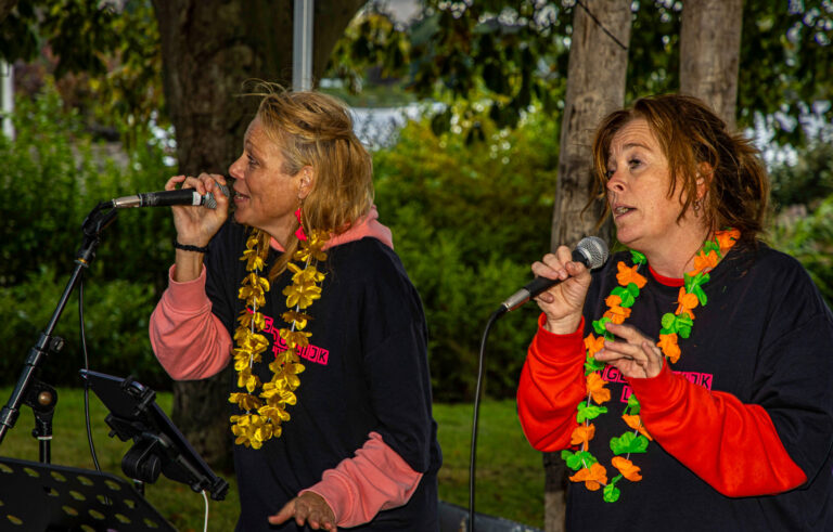 Wandel Feest Hoeksche Waard 2025, foto 278
