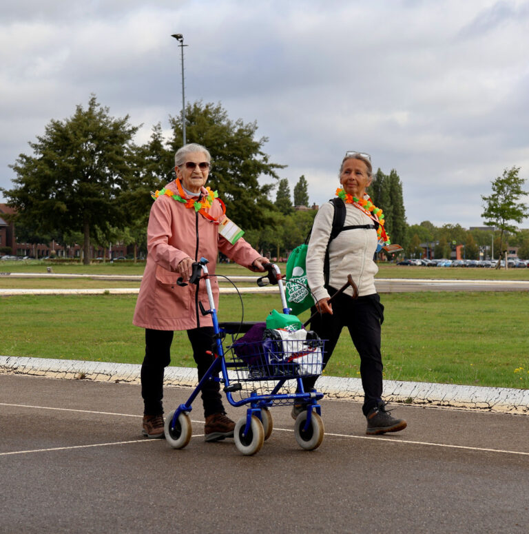 Wandel Feest Hoeksche Waard 2025, foto 307