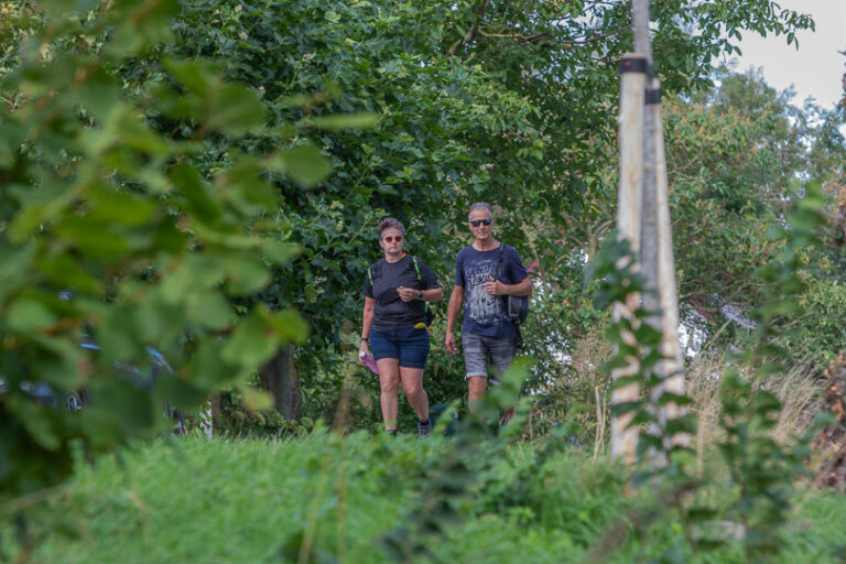 Wandel Feest Hoeksche Waard 2026, foto 207