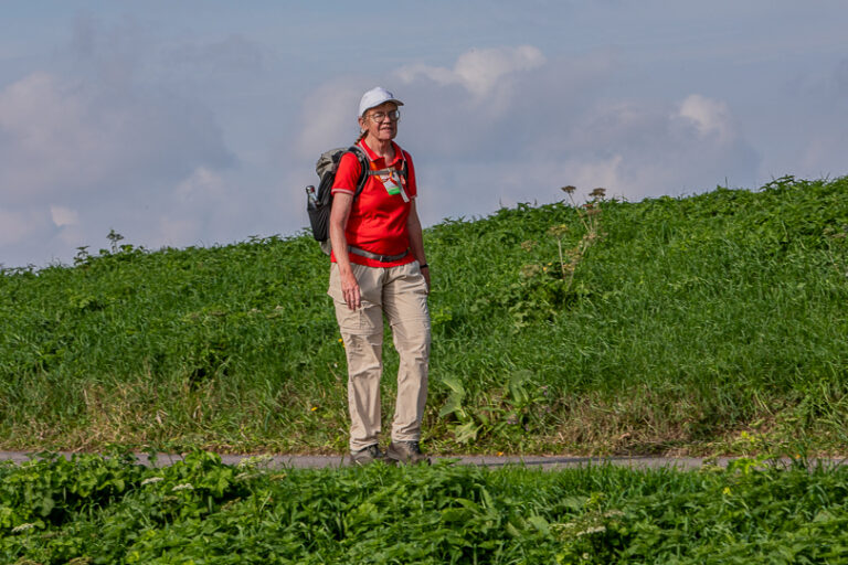 Wandel Feest Hoeksche Waard 2026, foto 258