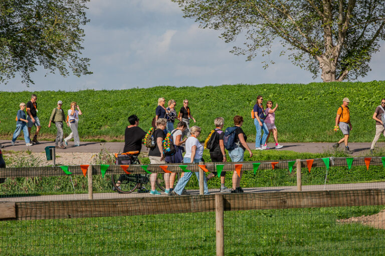 Wandel Feest Hoeksche Waard 2026, foto 272
