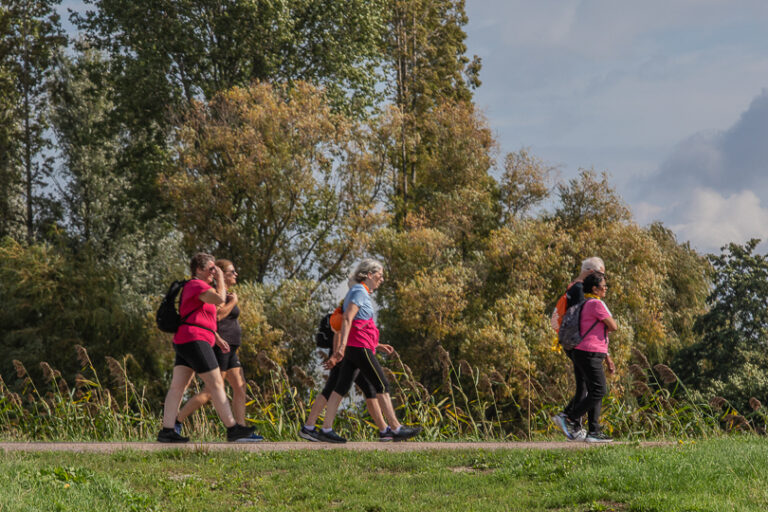 Wandel Feest Hoeksche Waard 2026, foto 308