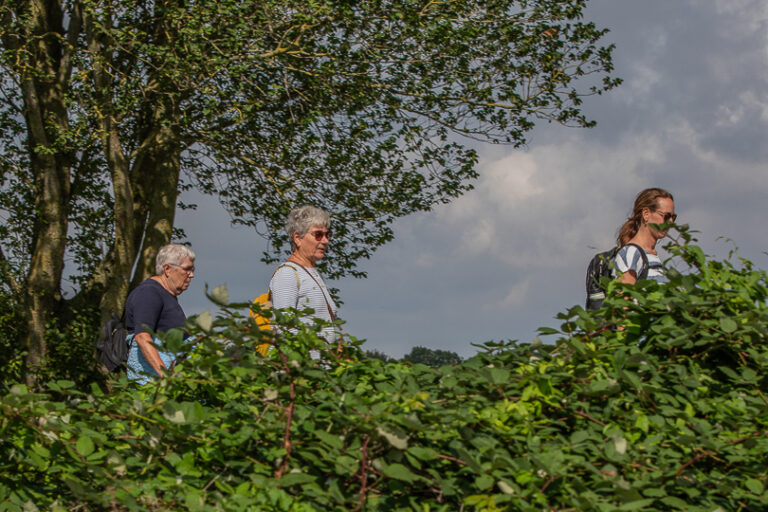 Wandel Feest Hoeksche Waard 2026, foto 371