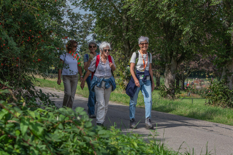 Wandel Feest Hoeksche Waard 2026, foto 374